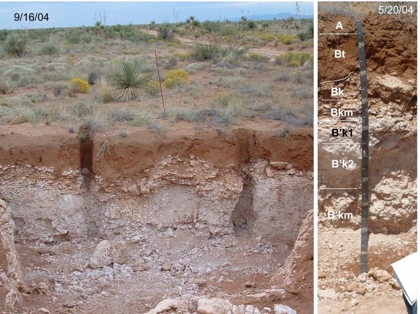 A soil pit exposing distinct soil horizons, Jornada Experimental Range.