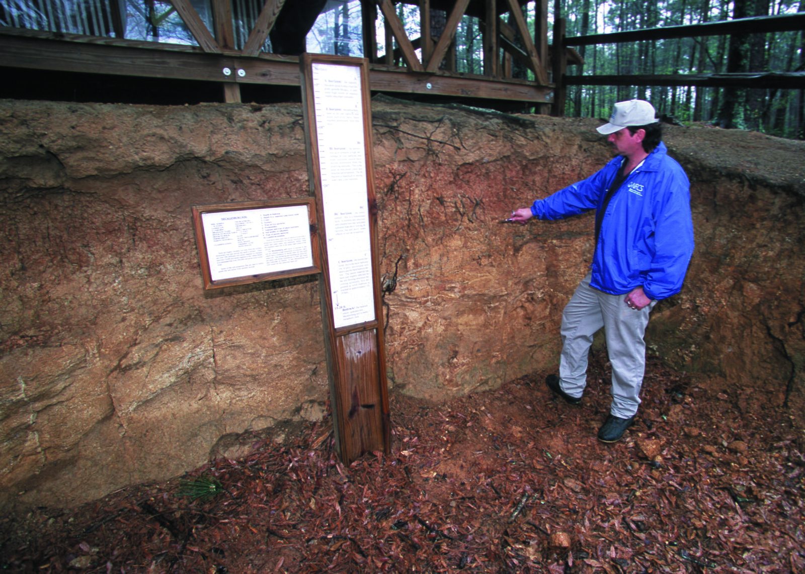 Soil profile showing horizons, Georgia.