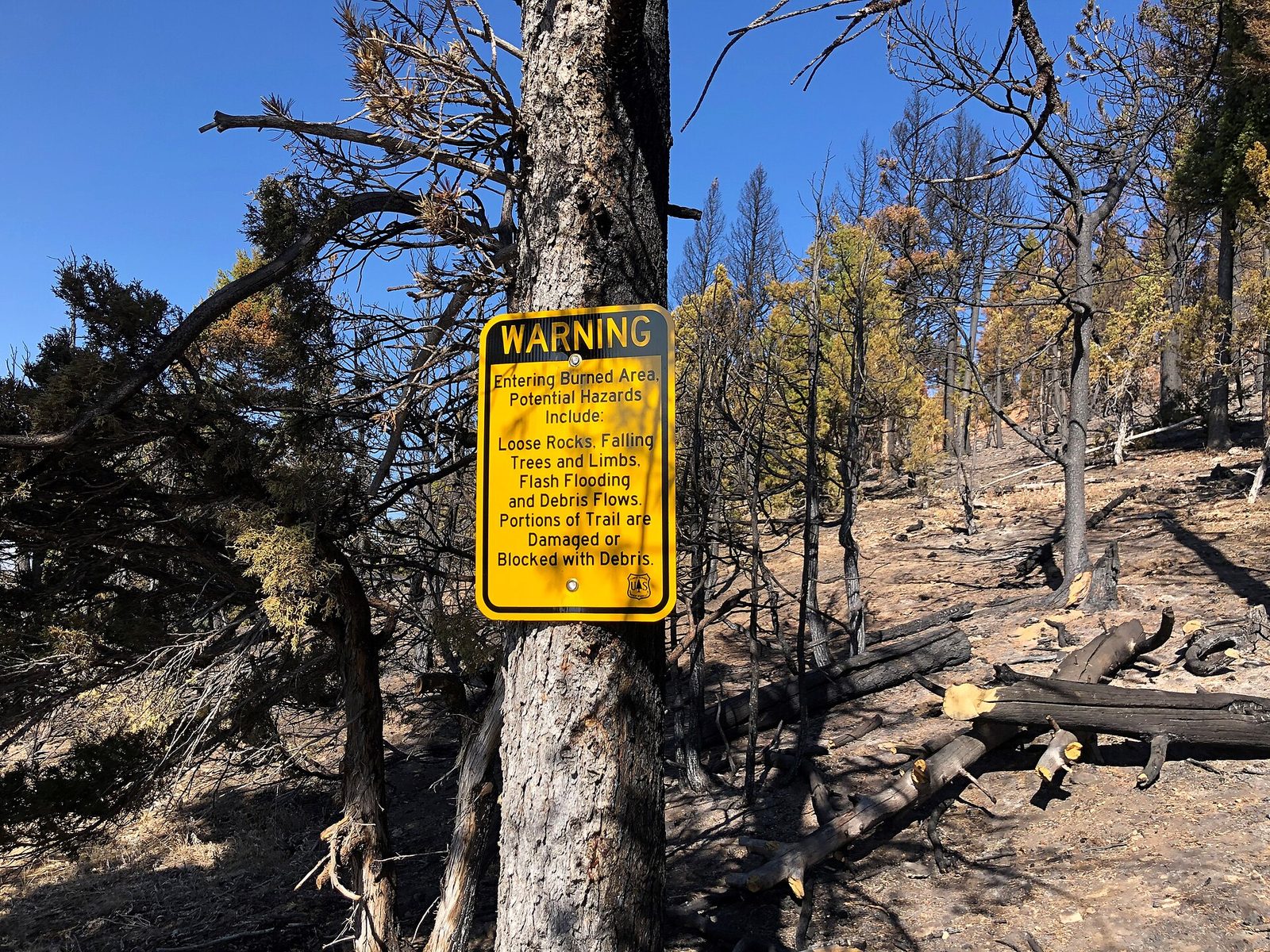 Burned trees and bare ground on a wildfire burn scar, with a posted warning sign.
